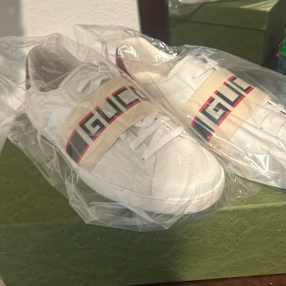 Gucci sneaker